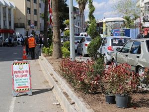 Kent Merkezindeki Yolların Refüjlerine Çeşitli Bitkiler Dikildi