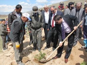Yahyalı’dan Kutlu Doğum Haftası Hatıra Ormanı