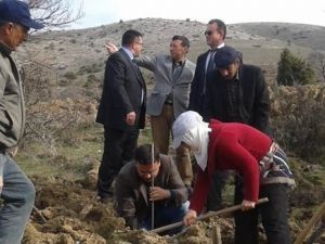 Beylikova’da 5 Bin Fidan Toprakla Buluşturuldu