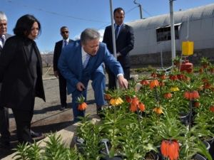 Vali Kahraman; “Ters Lale Denilince Akla Gelen İlk Şehir Erzincan Olacak”