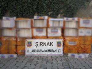 Şırnak’ta 566 Bin 930 Paket Kaçak Sigara Ele Geçirildi