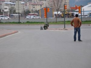Şüpheli Çöp Kovası Paniğe Neden Oldu