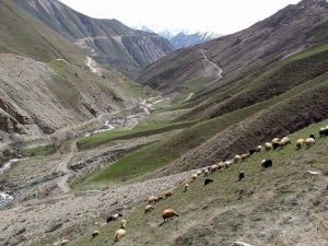 Isınan Havalar Çiftçileri Sevindirdi