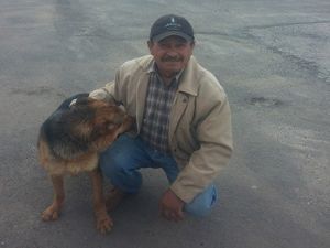 66 Köpek Sahiplendirildi