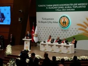 Nihat Yımaz, Merkez Birliği Yönetiminde Yer Aldı