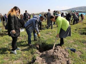 Bölge Halkı Ve Berksoy Özel Eğitim Ve Rehabilitasyon Merkeziöğrencilerinin Katılımları İle Bölge Ağaçlandırma Çalışmaları