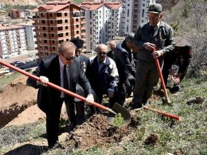 Gümüşhane Sarıkamış Şehitleri Ormanı Oluşturuldu