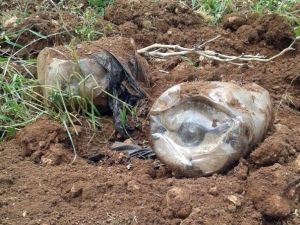 Sınırda Bomba Alarmı