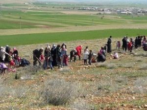 Anaokulu Öğrencileri Fidan Dikti