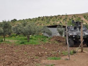 Zeytin Bahçesinde Patlayıcı Madde Bulundu