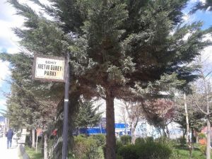 Orhangazi’de Parklar Düzenleniyor