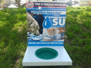 Orhangazi’de Sokak Hayvanlarına Suluk