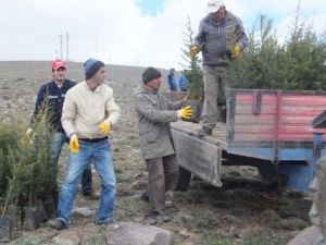 Kaymaklı’da 10 Bin Fidan Toprakla Buluşturuldu