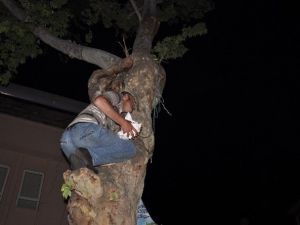 Alkollü Vatandaş Ekmek Zammına Tepki İçin İkinci Defa Çıktığı Ağaçtan Düşüp Ağır Yaralandı