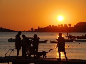 Hayvanların Zehirlediği İddialarına Başkan Demirağ’dan Tepki