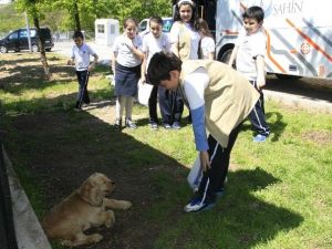 Öğrenciler Hayvan Barınağını Gezdi