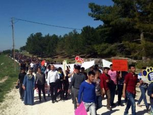 Sağlıklı Yaşam Yürüyüşü Gerçekleştirildi