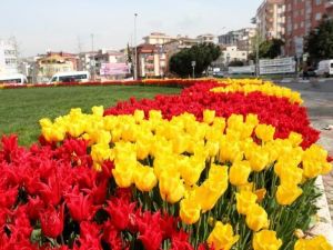 Kartal’da İlkbahar Güzelliği
