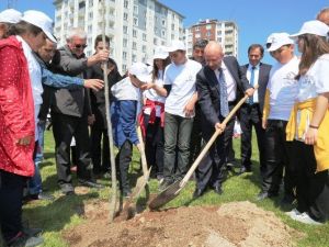 Çolakbayrakdar, "2015’Te 70 Bin Fidan Dikeceğiz"