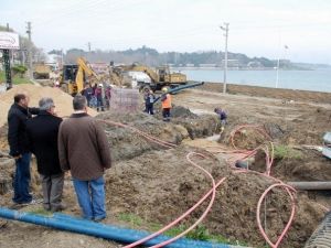 100. Yılda Alternatif Şafak Ayini