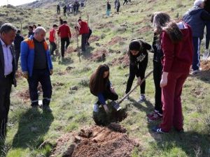 Yeşilyurt Mahallesi’ne Öğrencilerin Katılımı İle 500 Adet Çam Fidanı Dikildi