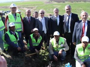 “Ağaç Dikme” Projesi Başladı