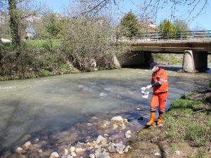 Akçakoca Belediye İlaçlama Çalışması Yapıyor