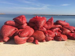 Karadan Olmayınca Denizi Denediler, Bu Kez De Sahil Güvenliğe Yakalandılar
