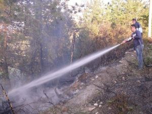 Çatalzeytin’de Orman Yangını