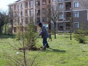 Akçakoca Belediyesi Çalışmaları Hız Verdi