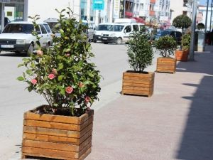 Akçakoca Bahadır Yalçın Caddesi Çiçeklerle Renklendi