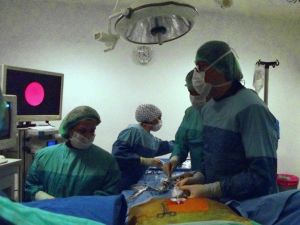 Bel Fıtığında Lazerle Endoskopik DİSK Cerrahisi, Yüzleri Güldürüyor