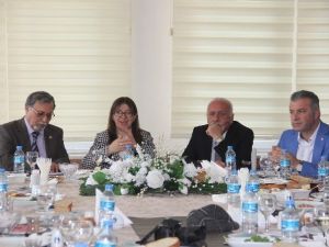 Vali Çetinkaya: “Sit Alanı Konusunda İşi Ehline Bırakalım”