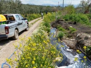 İlaçlama Ekipleri Haşereyle Mücadeleye Hız Verdi