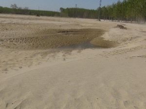 Edirne’de Nehir Sularının Taşıdığı Kumlar Tarlaları Çöle Çevirdi