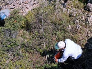 Kepez Belediyesi’nden Turizme Arkeopark Desteği