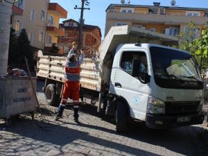 İzmit’te Budanan Ağaç Dalları Toplanıyor