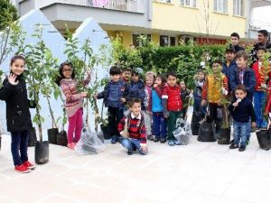 Diktikleri Fidanlarla Büyüyecekler