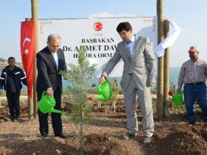Başbakan Davutoğlu Adına Hatıra Ormanı