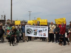 Urla’da Hayvan Katliamı Protesto Edildi