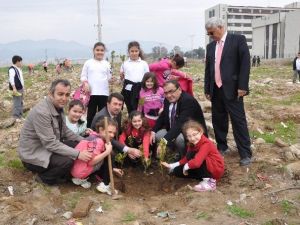 Sanayi Bölgesi 9.300 Fidanla Yeşilleniyor
