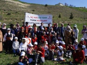 Kızılay, Bağışçıları Adına Fidan Dikti
