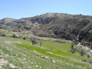 Köylülerin Gölet Protestosu