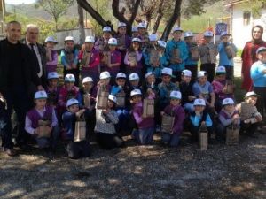 Düzce’de Fidan Dağıtımı Devam Ediyor