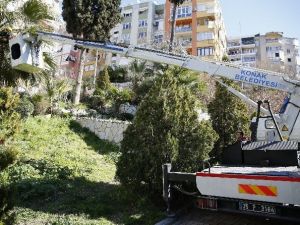 Konak’ta Parklara Estetik Dokunuş