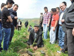 İnegöllü Mobilyacılar 600 Fidanı Toprakla Buluşturdu