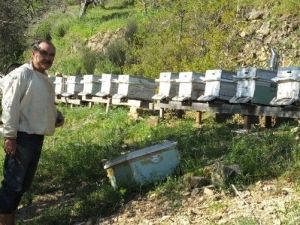 Burhaniye’de Emekli Ziraatçı Örnek Arıcı Oldu
