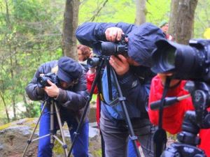Doğa Yürüyüşü Ve Foto Safari Düzenlendi