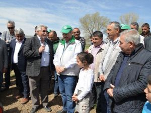 Kayseri Şeker Pancar Ekim Günleri Başladı