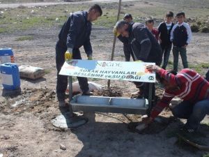 Niğde Belediyesinden Hayvanlar İçin Beslenme Odağı